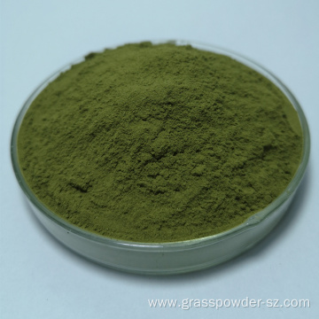 Organic Barley Juice Grass Powder